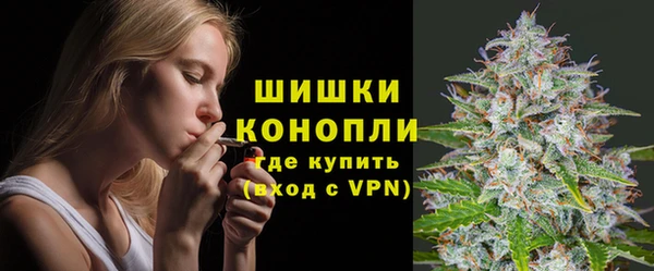 прущие крисы Аркадак